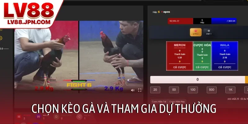 Chọn kèo gà và tham gia dự thưởng