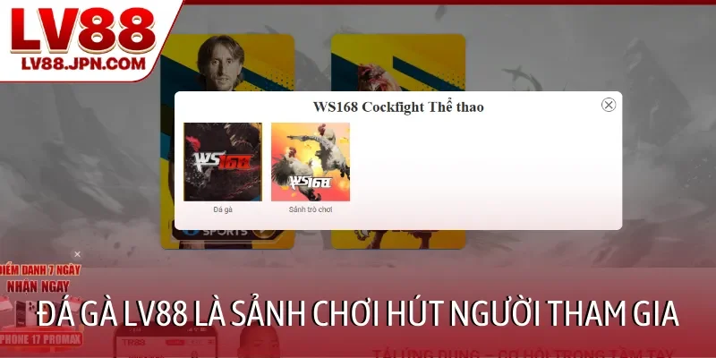 Đá gà LV88 là sảnh chơi hút người tham gia