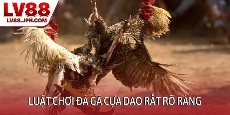 Luật chơi đá gà cựa dao rất rõ ràng