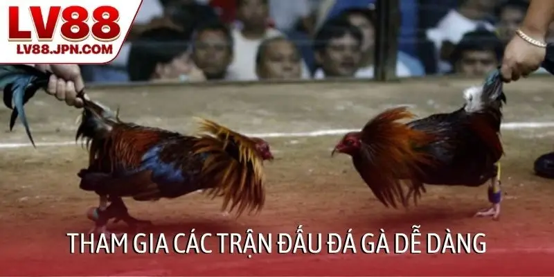 Tham gia các trận đấu đá gà dễ dàng