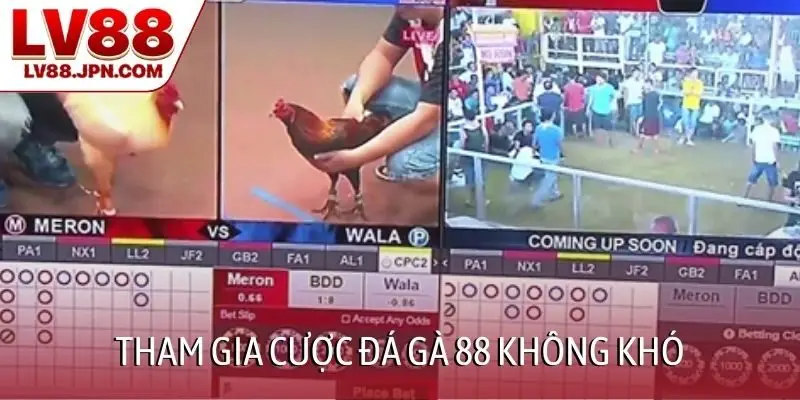 Tham gia cược đá gà 88 không khó